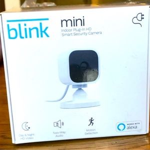 Blink Mini